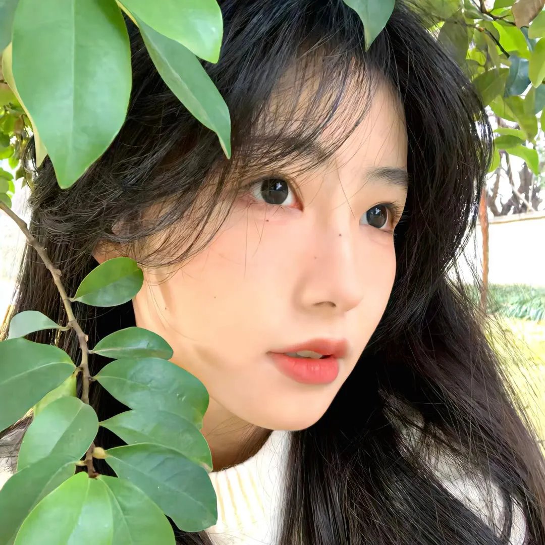 少女杀手的奇幻旅程