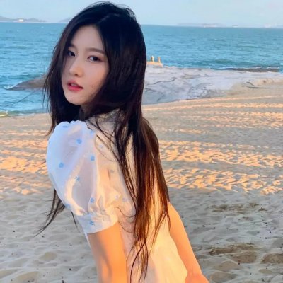 漂流海龟岛